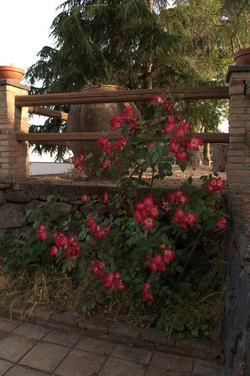 Pachamama Villa Nicolosi Exterior photo